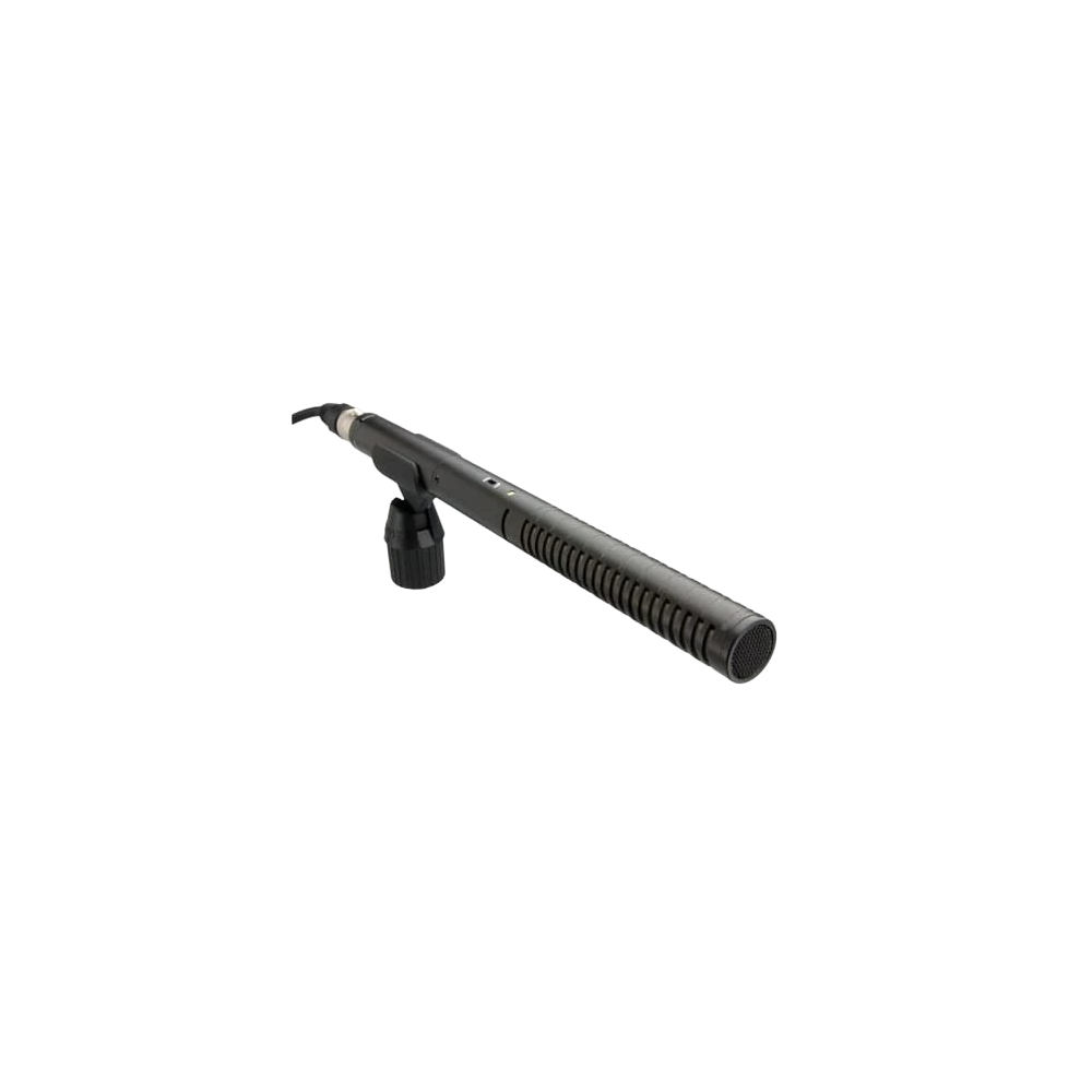 RØDE NTG2 shotgun microphone